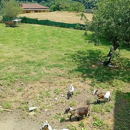 Casa Mayte Perabeles *
